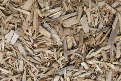 biomass boilers Cwmcych